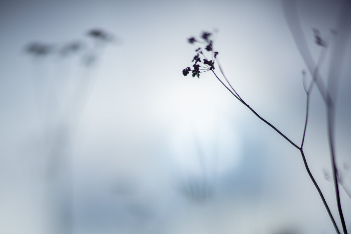 fine_art_photographer _014