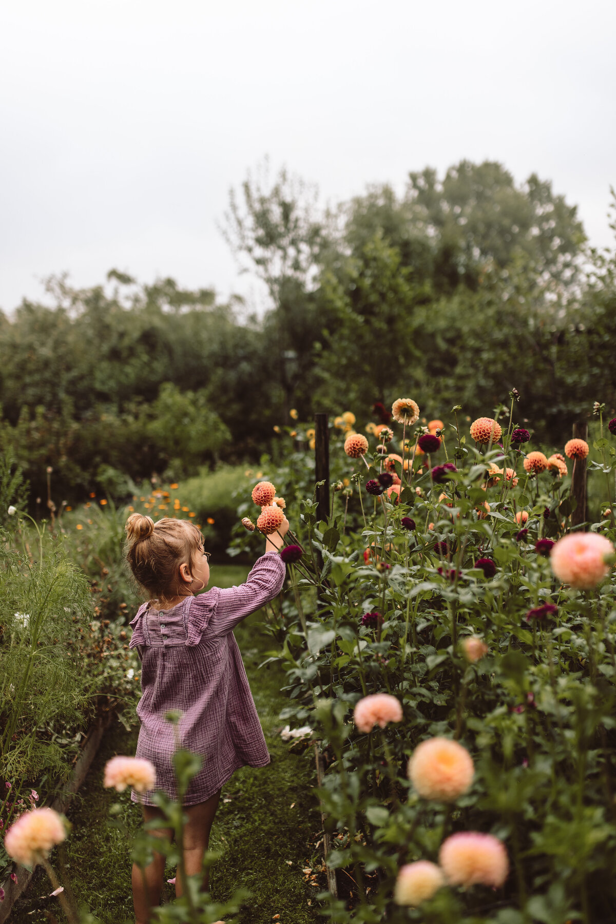 LaJolaPhotography_Fleur&Soof_16082024-91