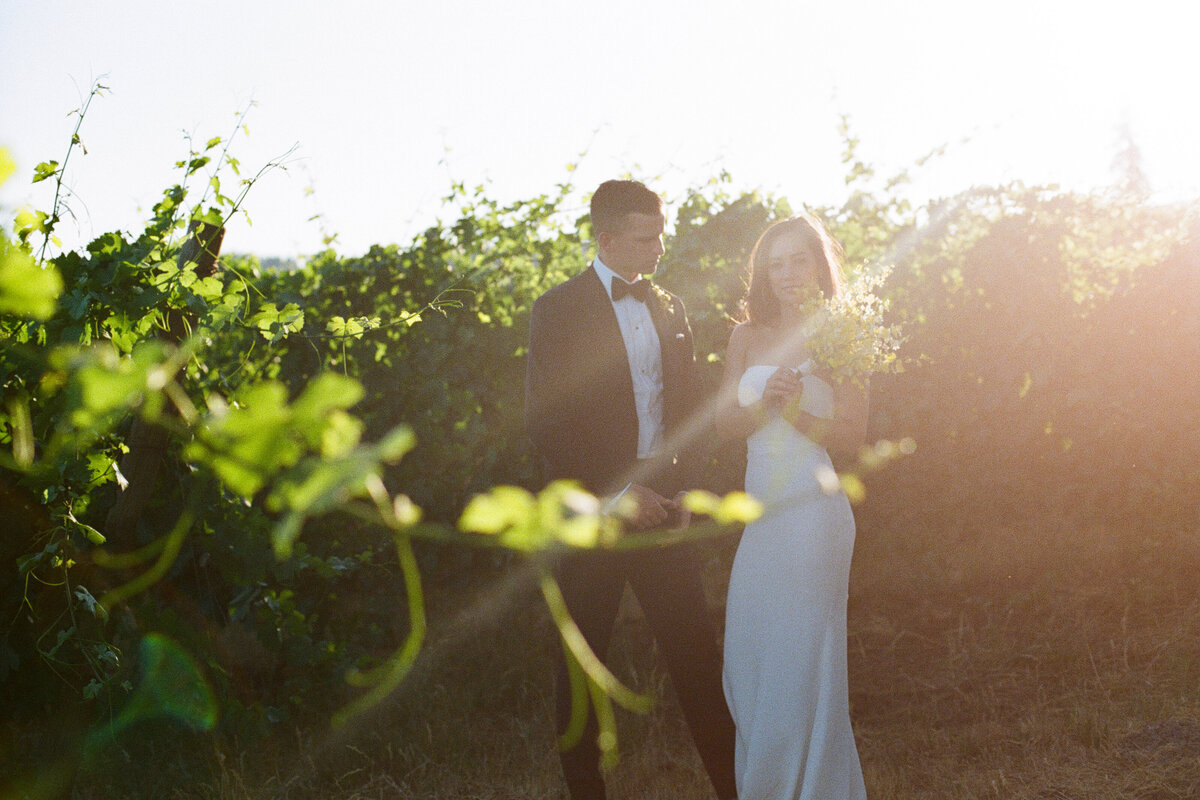 furioso-vineyard-wedding-f-77