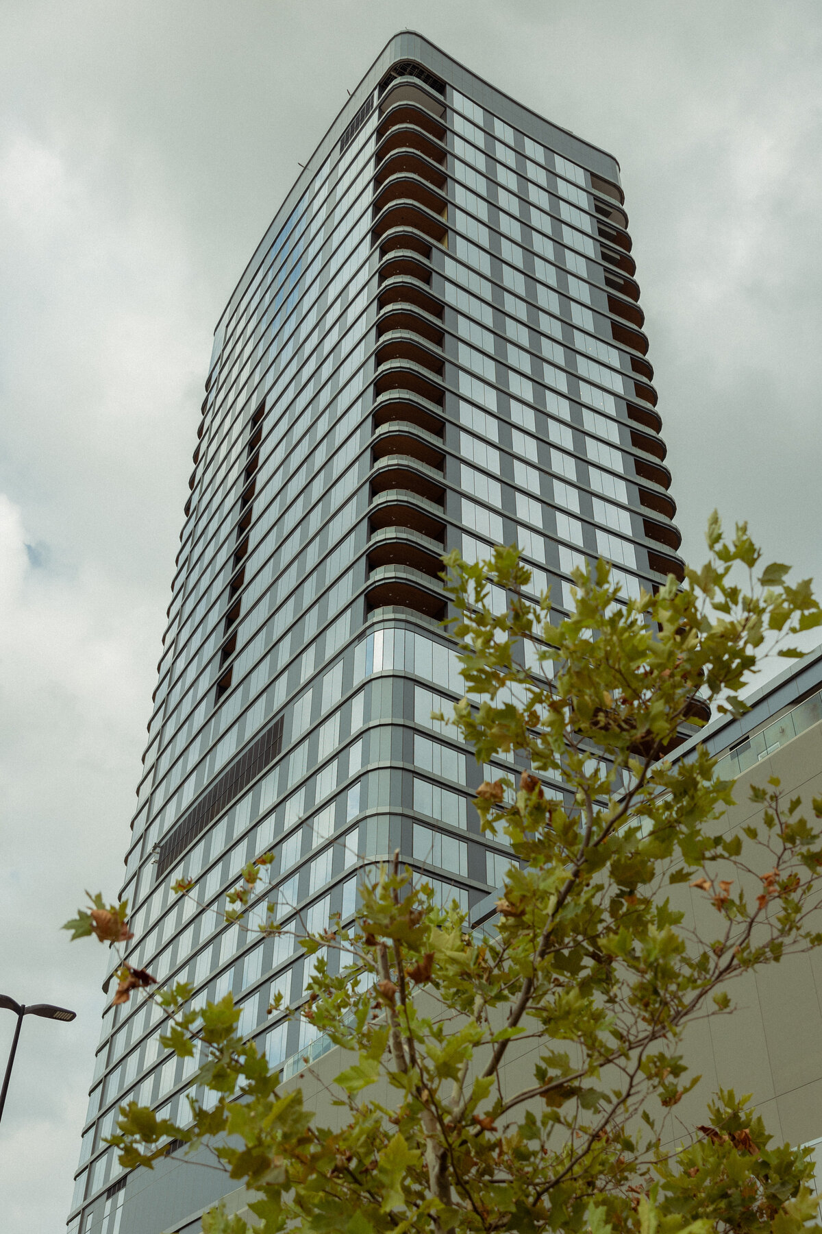Rozo - Before - Payton Hartsell Photography-4