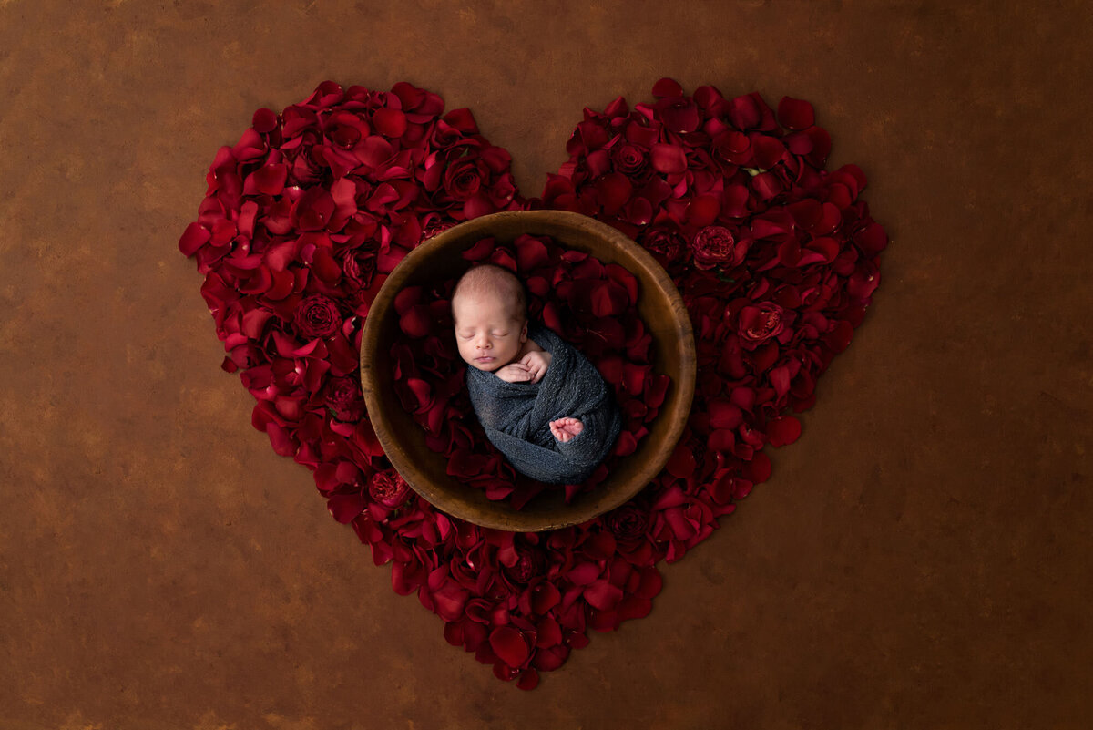 pretoria-newborn-photographer195