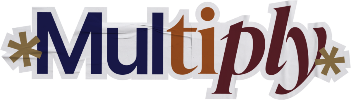 Join MULTIPLY | The 6 month Ad Accelerator by Aashima Verma