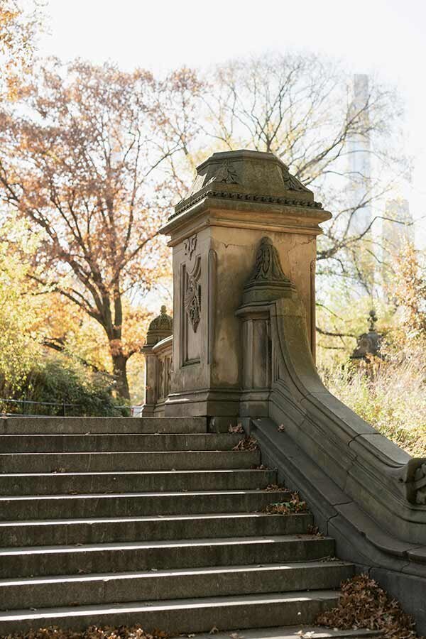 NYC Central Park Architecture steps