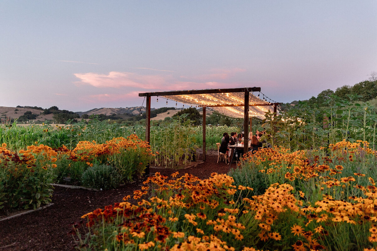 234-larissa-cleveland-wedding-california-photographer-destination-event