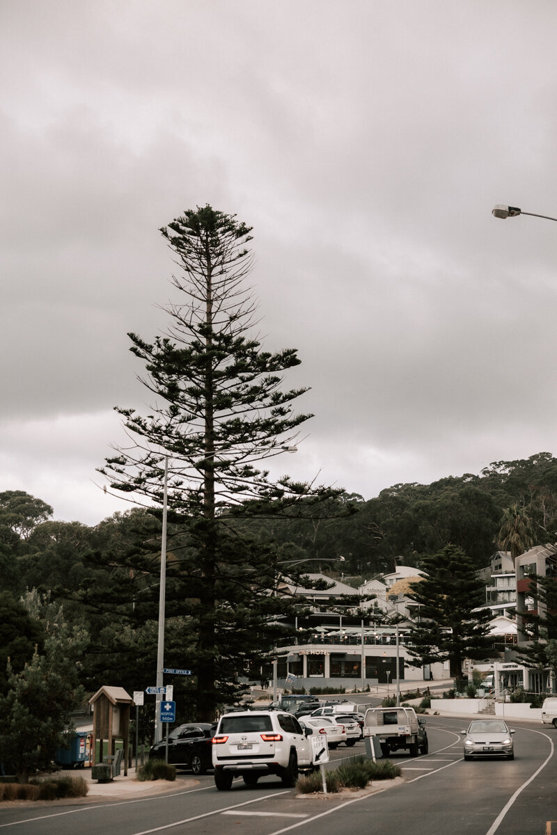 geelong wedding phtoographer72