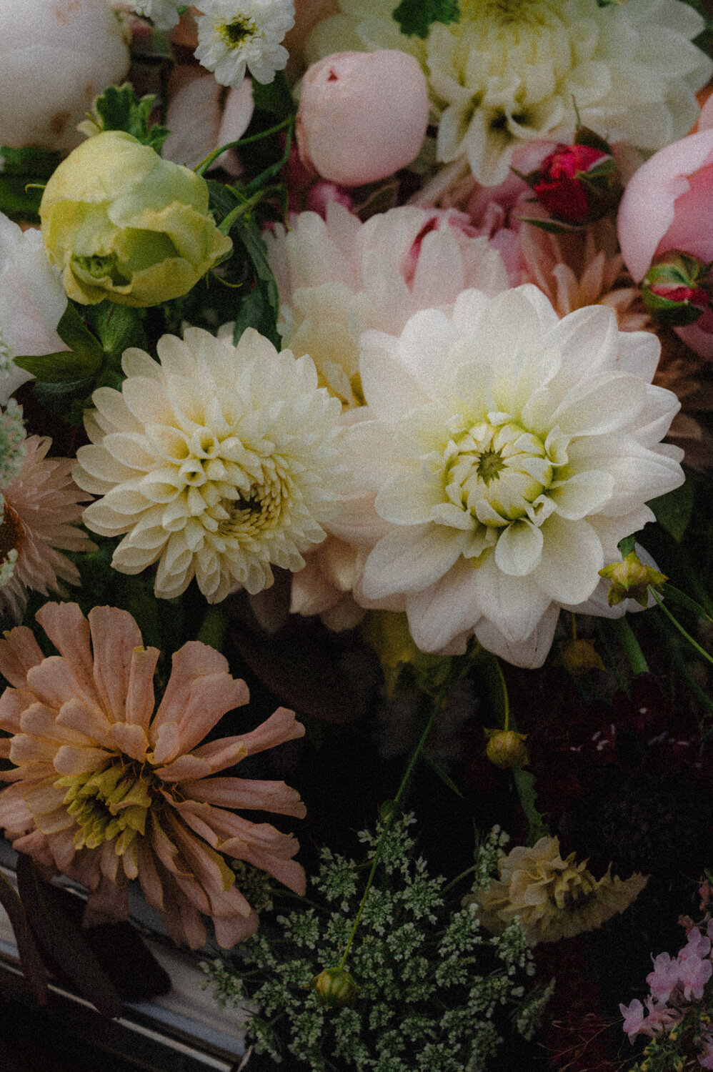 Strathcona Park Elopement-82