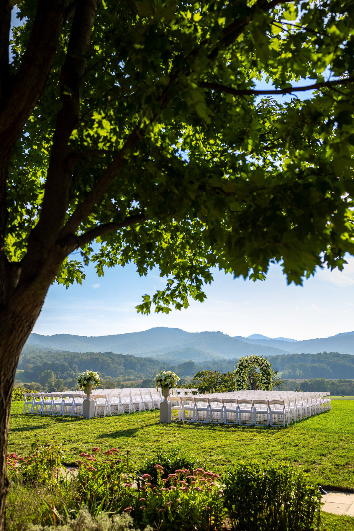 AaronWatsonPhotography0356(1)