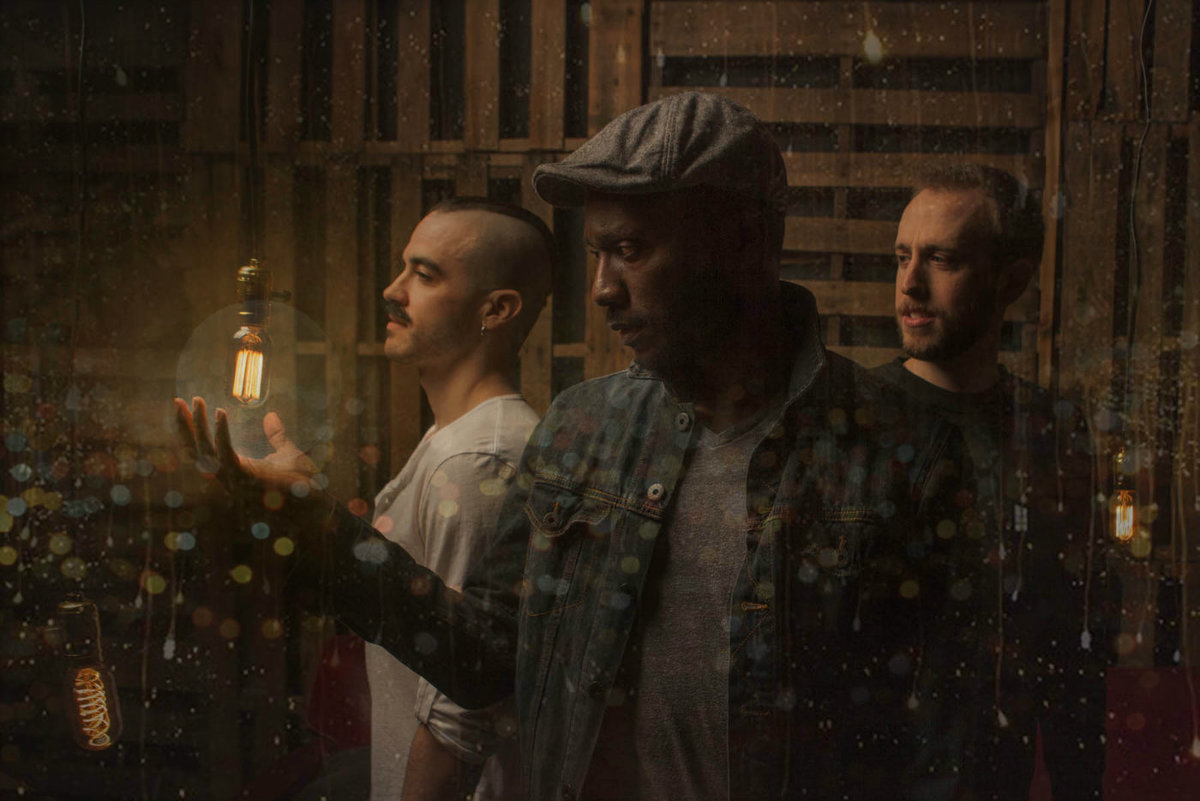 fireflies