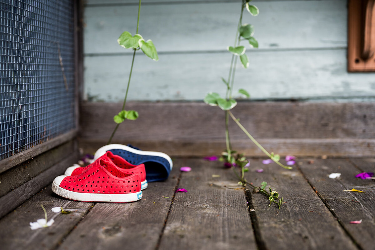 A pair of red and blue children’s shoes on a wooden porch, surrounded by flower petals and creeping vines—captured in a quiet moment during a documentary family photography session.

