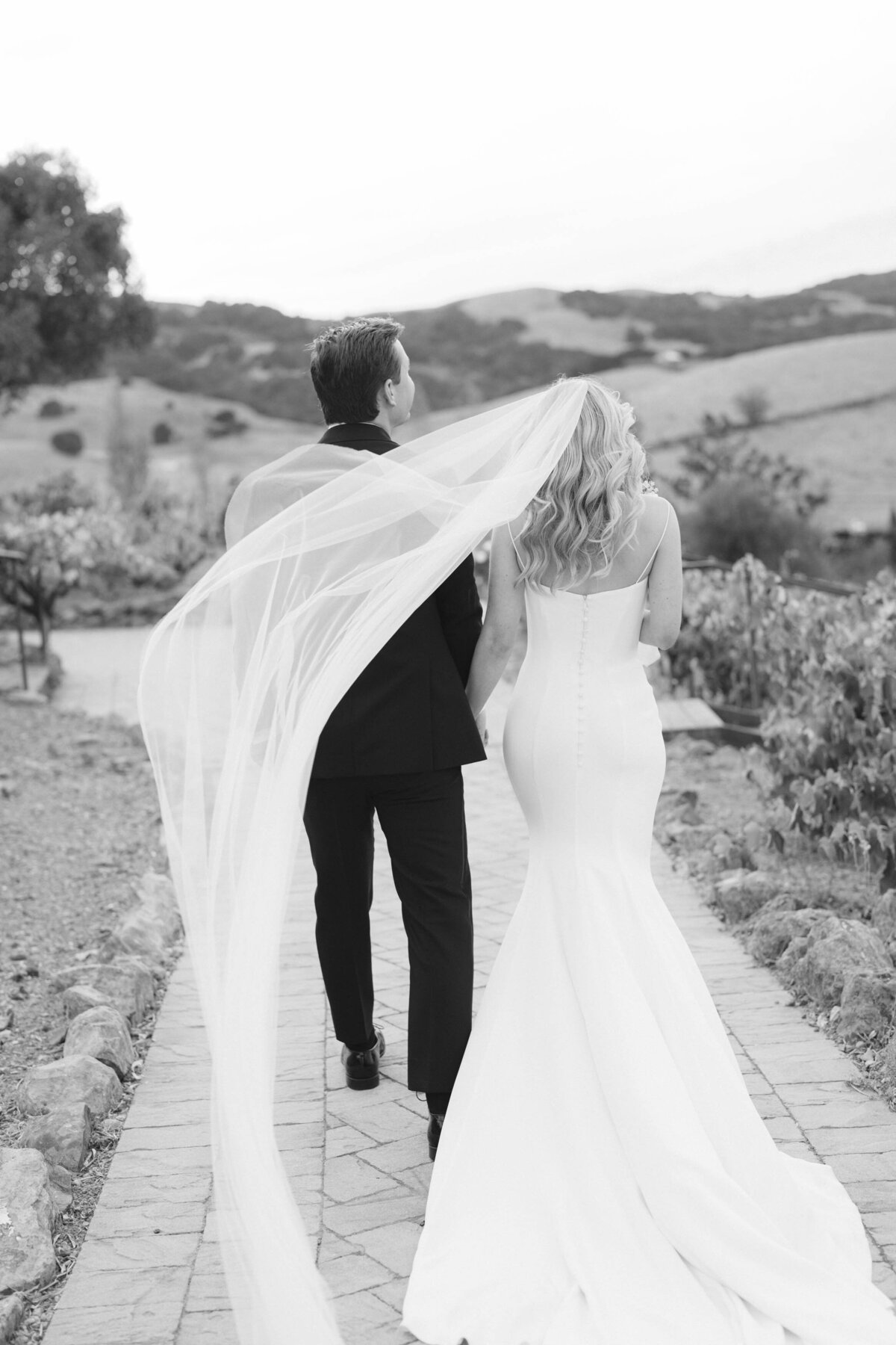Viansa-Sonoma-Wedding-80