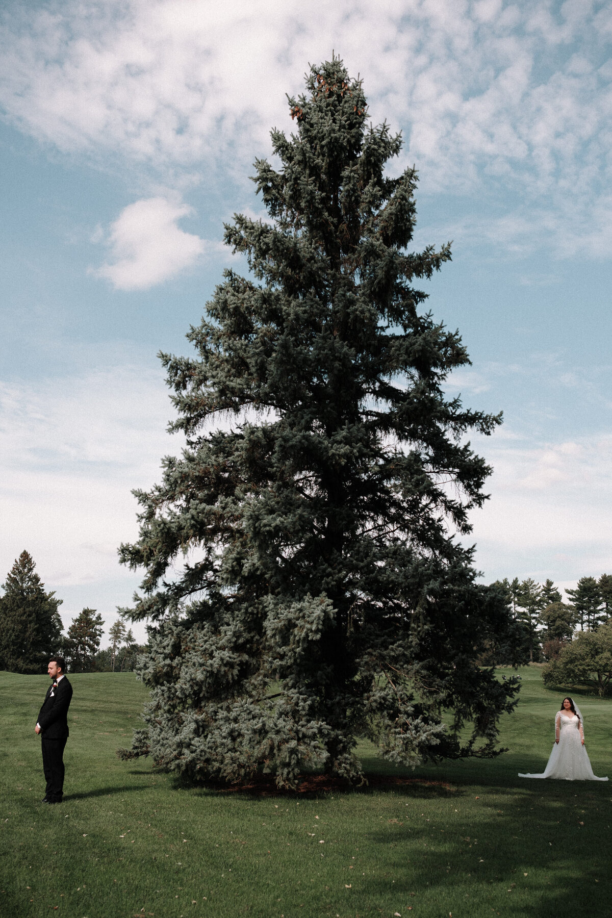 before the first look  with the tree dividing soon to be wife and husband