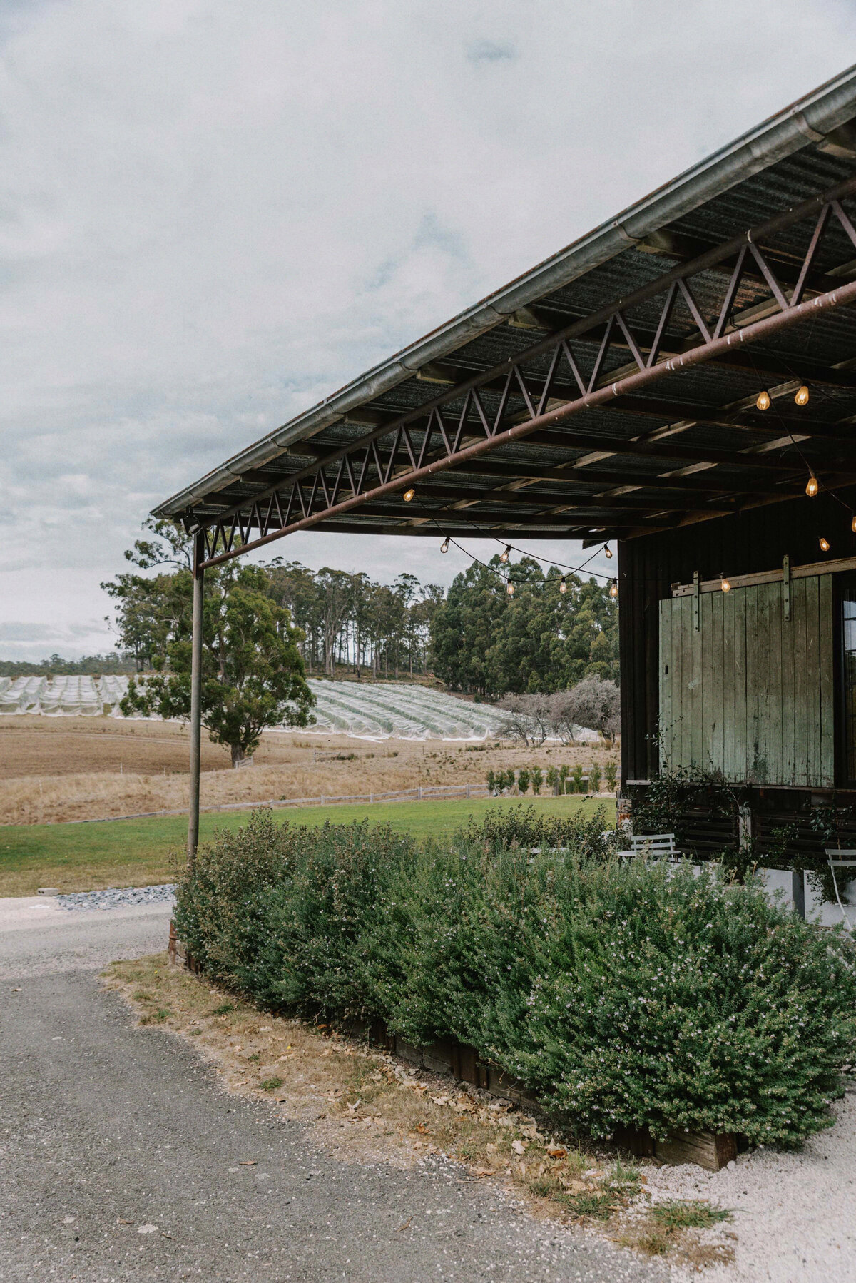 glendale-estate-tasmania-wedding-web-7