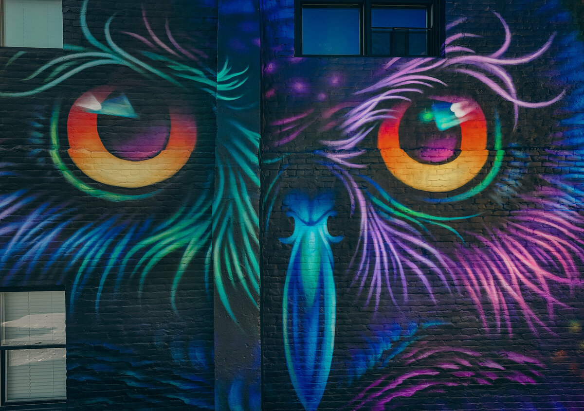 DJI_20251112130101_0015_D