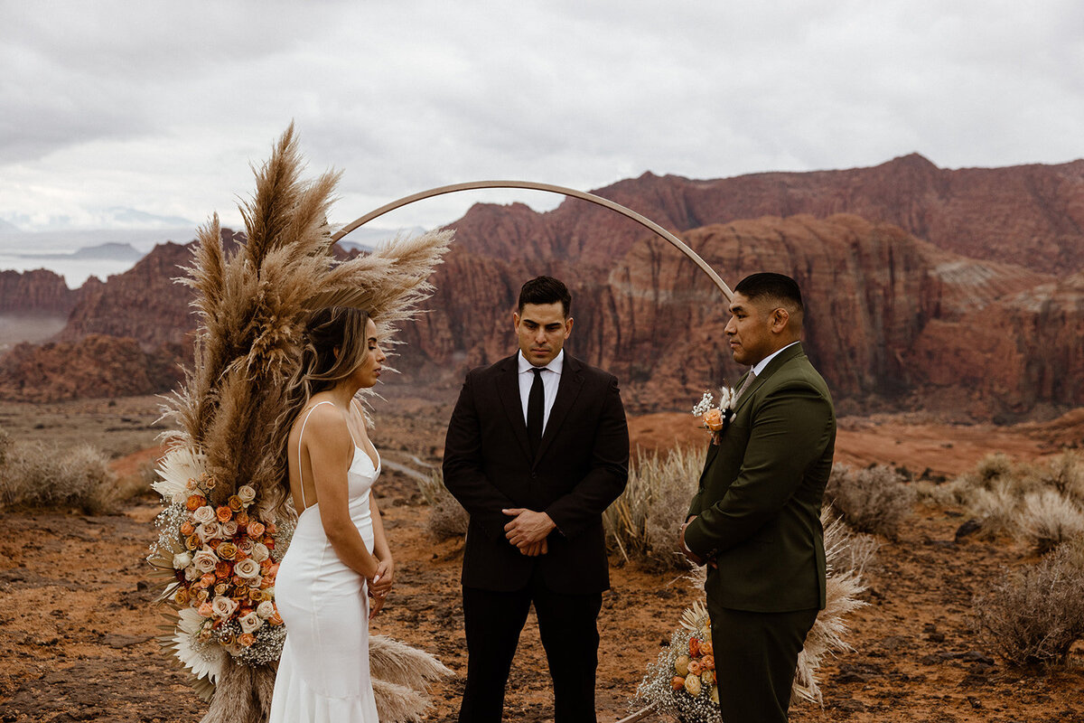 ZionSnowCanyon-dallinhassard-2632