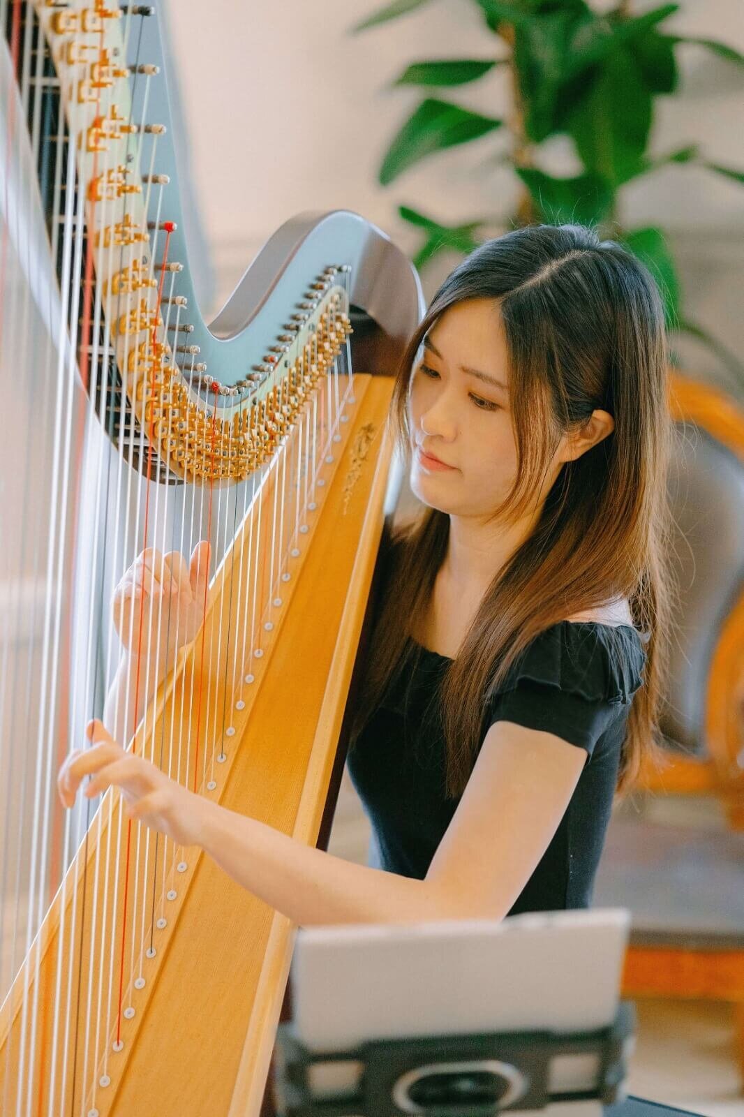 Asian UK harpist