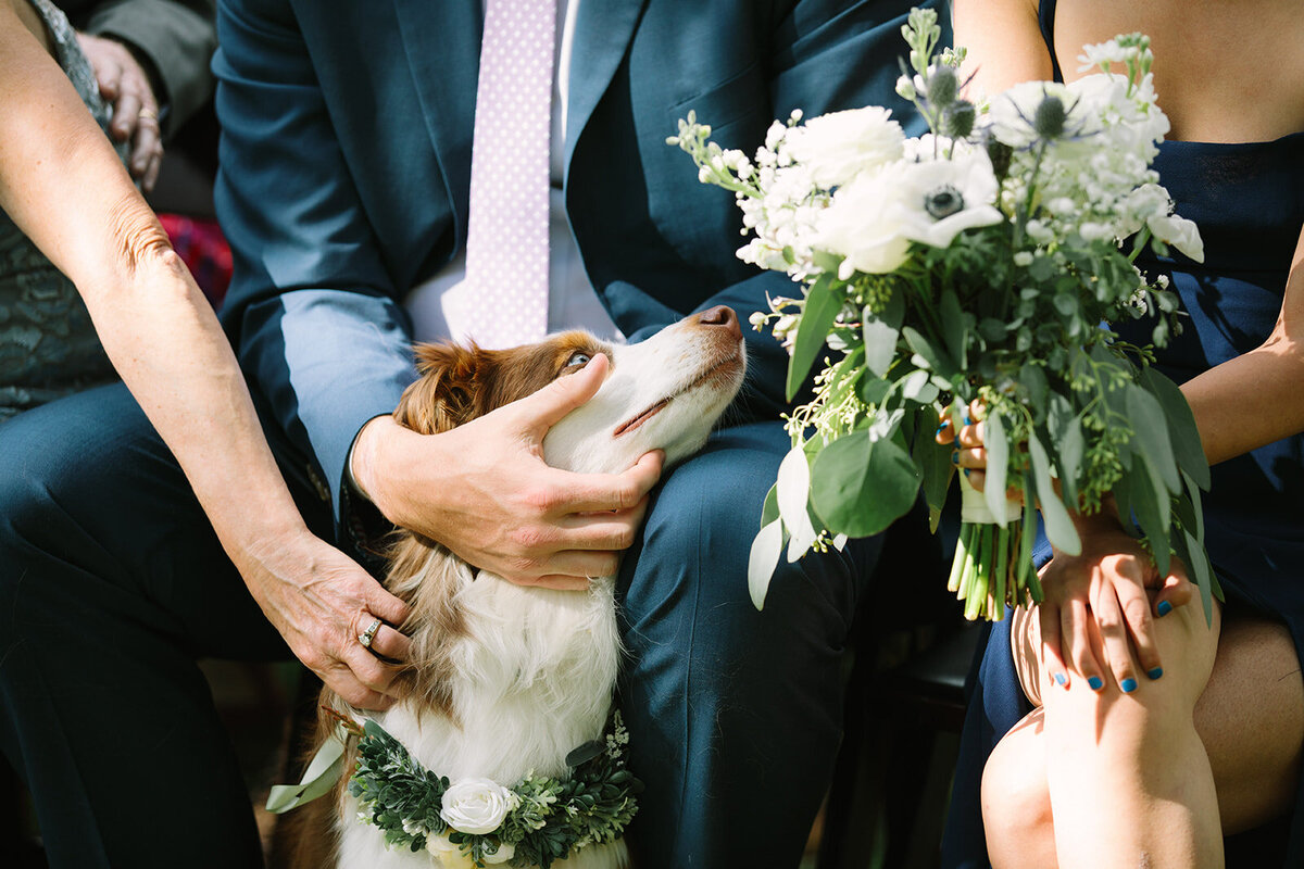 revel_and_rye_event_co_wedding_and_event_planning_and_design_tahoe_colorado_mountain_wedding_and_planning_daincing_pines_truckee_river_012