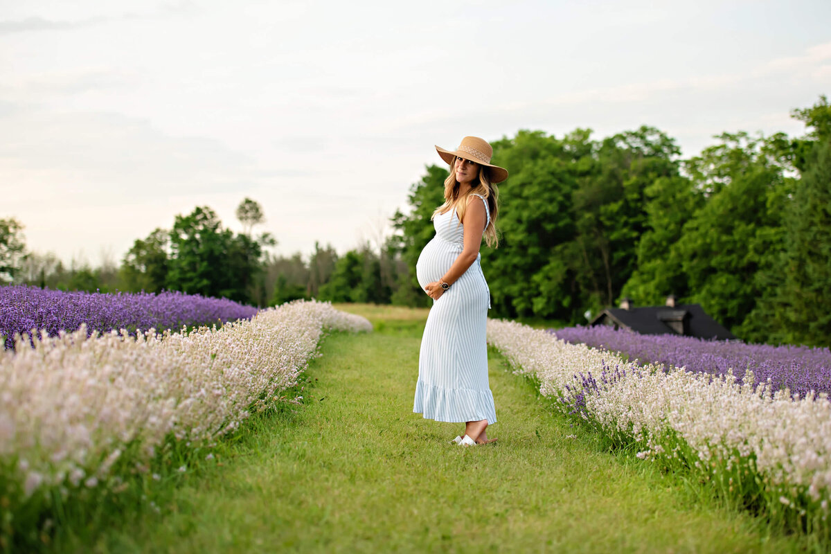 Lavender field Toronto Maternity photography session with mom standing between rows of white and purple lavender