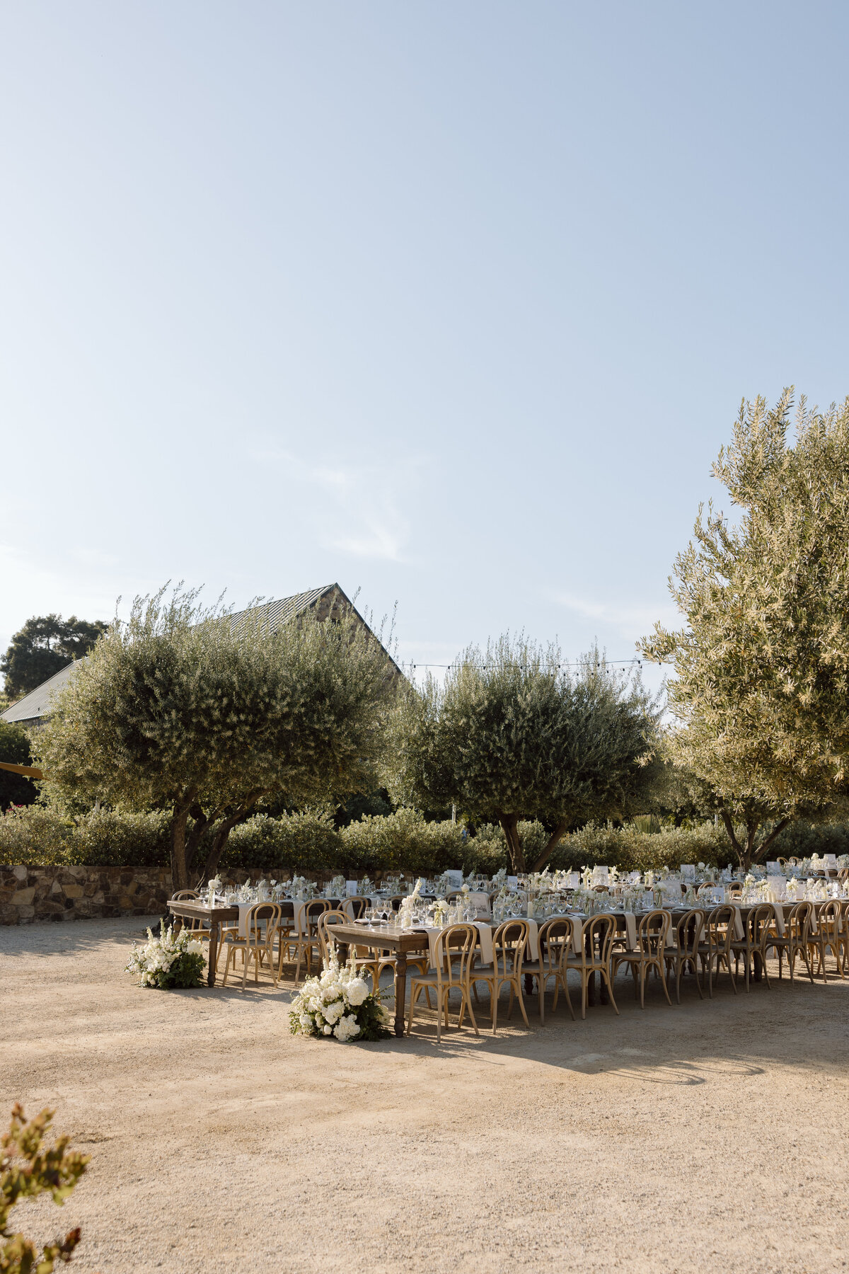 Paso Robles Wedding Photographer-47