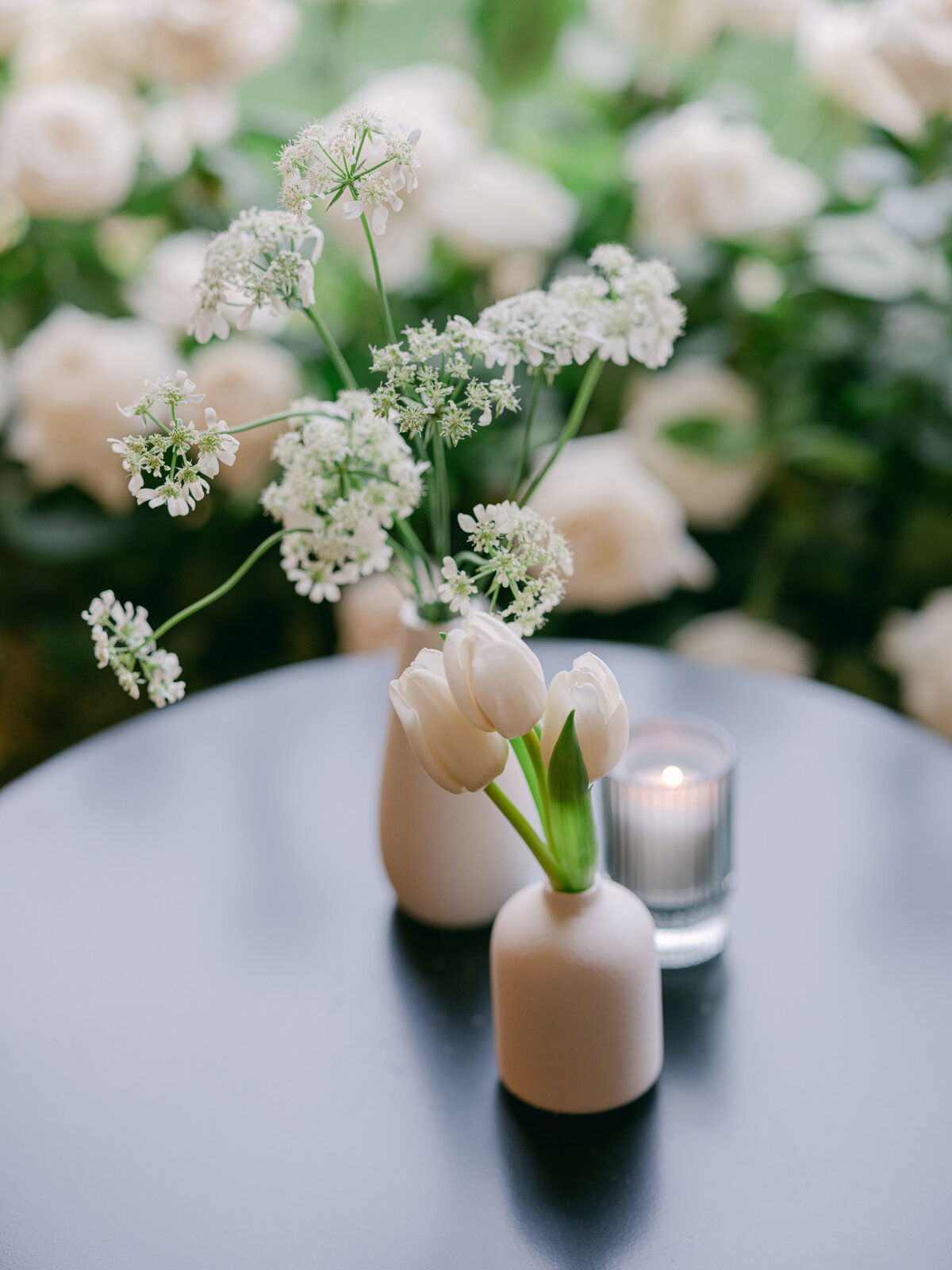 vanille-david-06-2024 (187) (1)