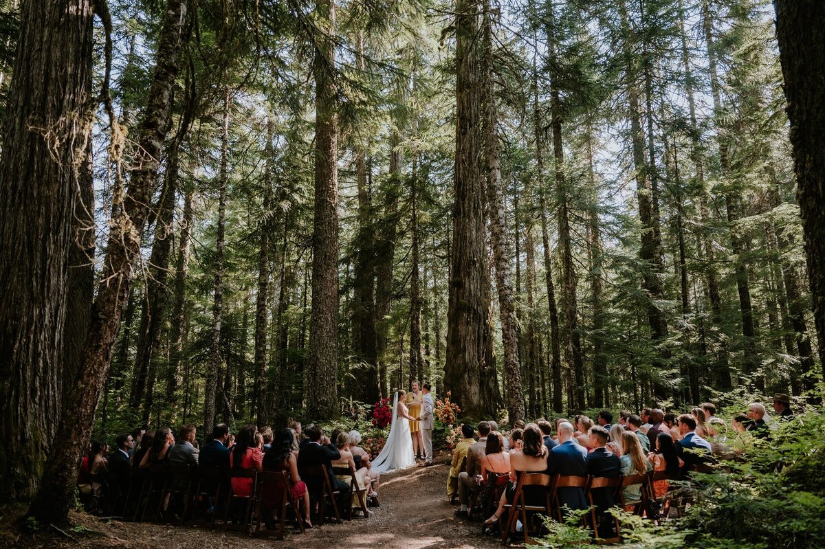 VeerleScottWedding-10Aug2024-EmilySerrellPhotography-287