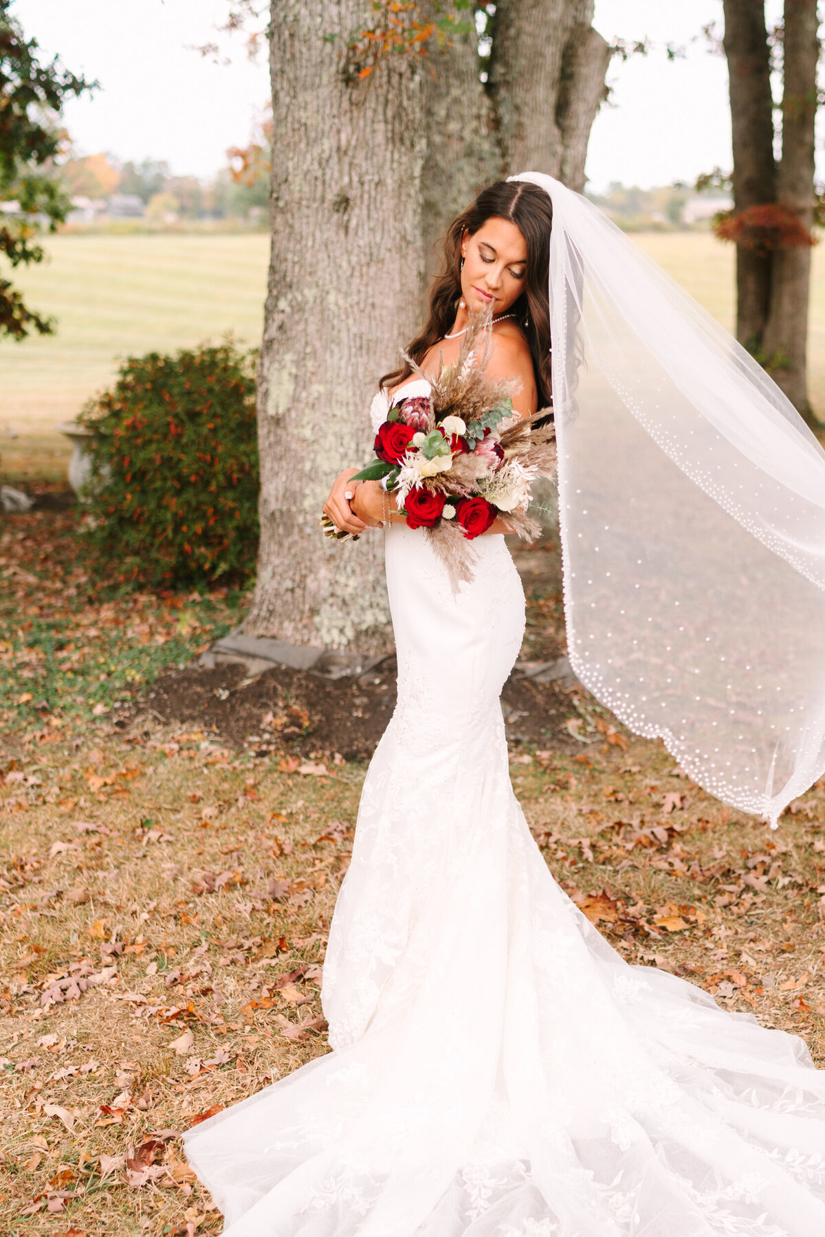WVWeddingPhotographer5