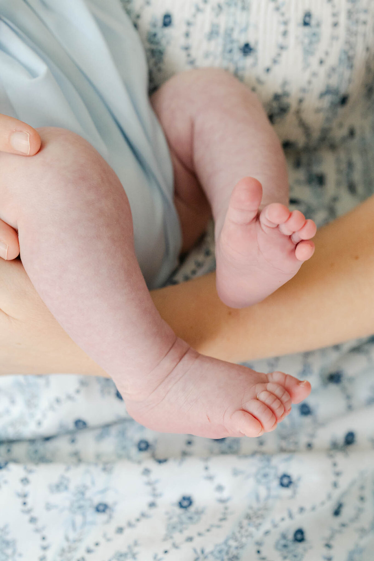 Delaware-Newborn-Photographer-1192