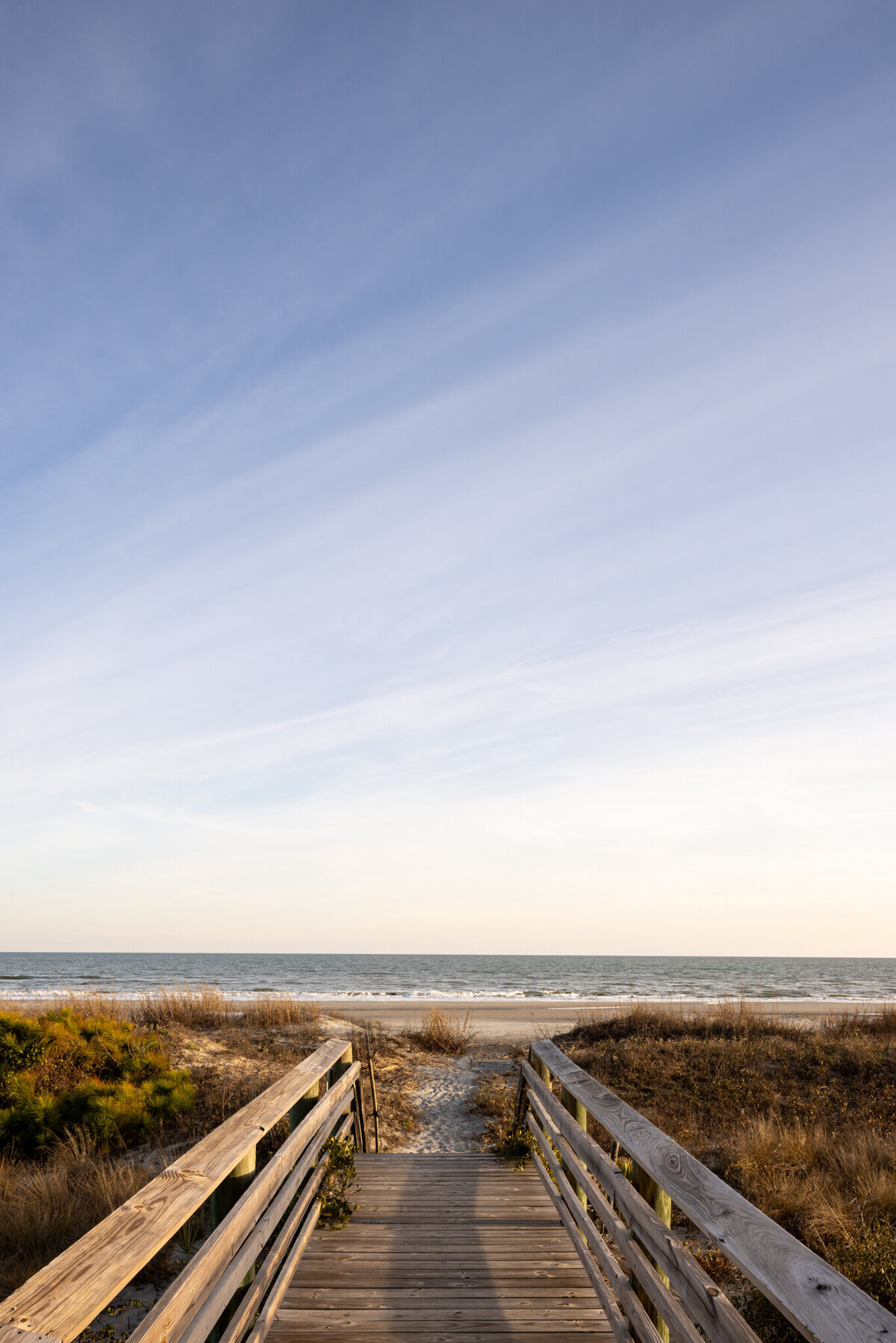 2024_Jan_MollyRosePhoto_J Banks Design_Lee Folly Beach_611