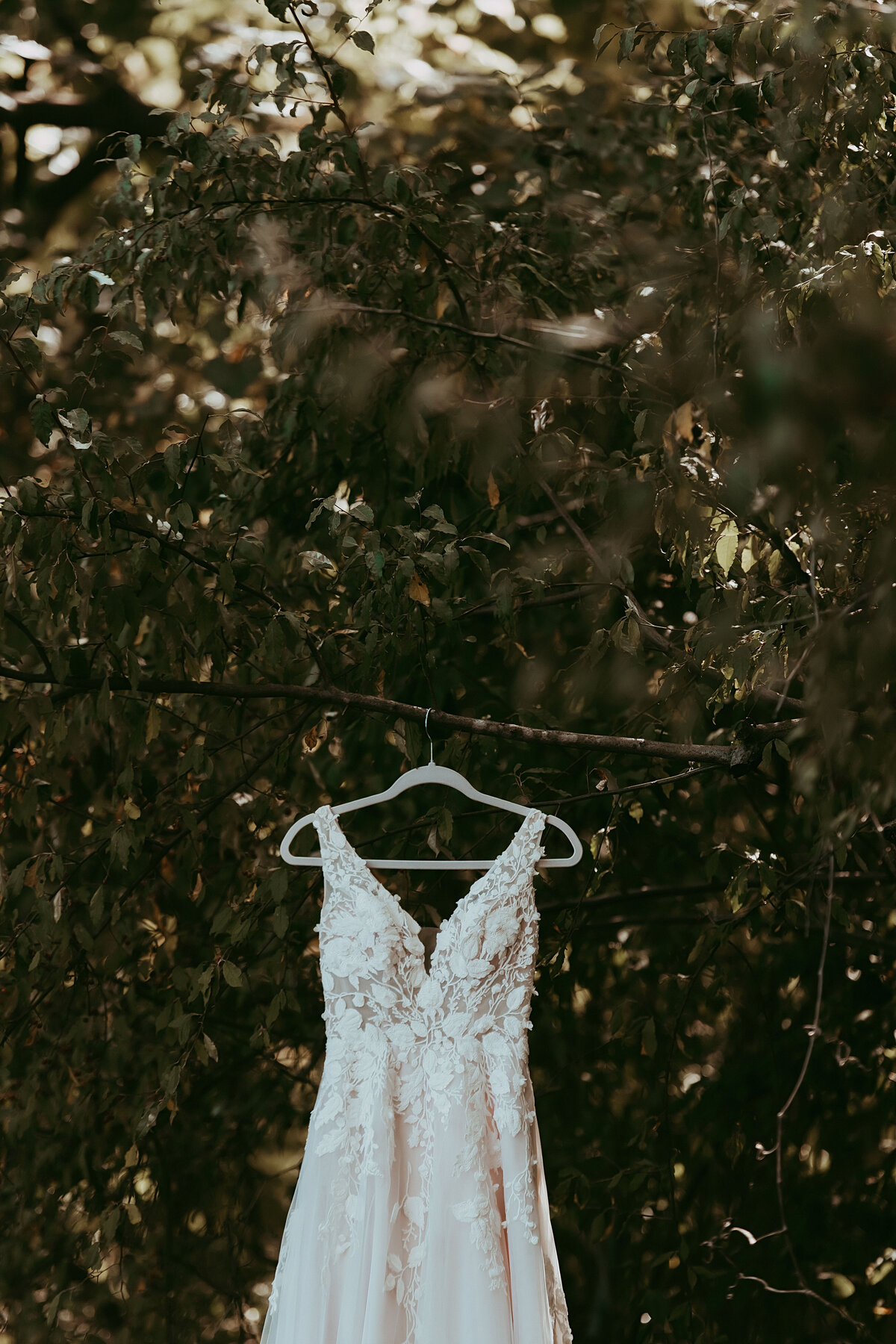 Toledo Area Outdoor Tent Wedding Venue