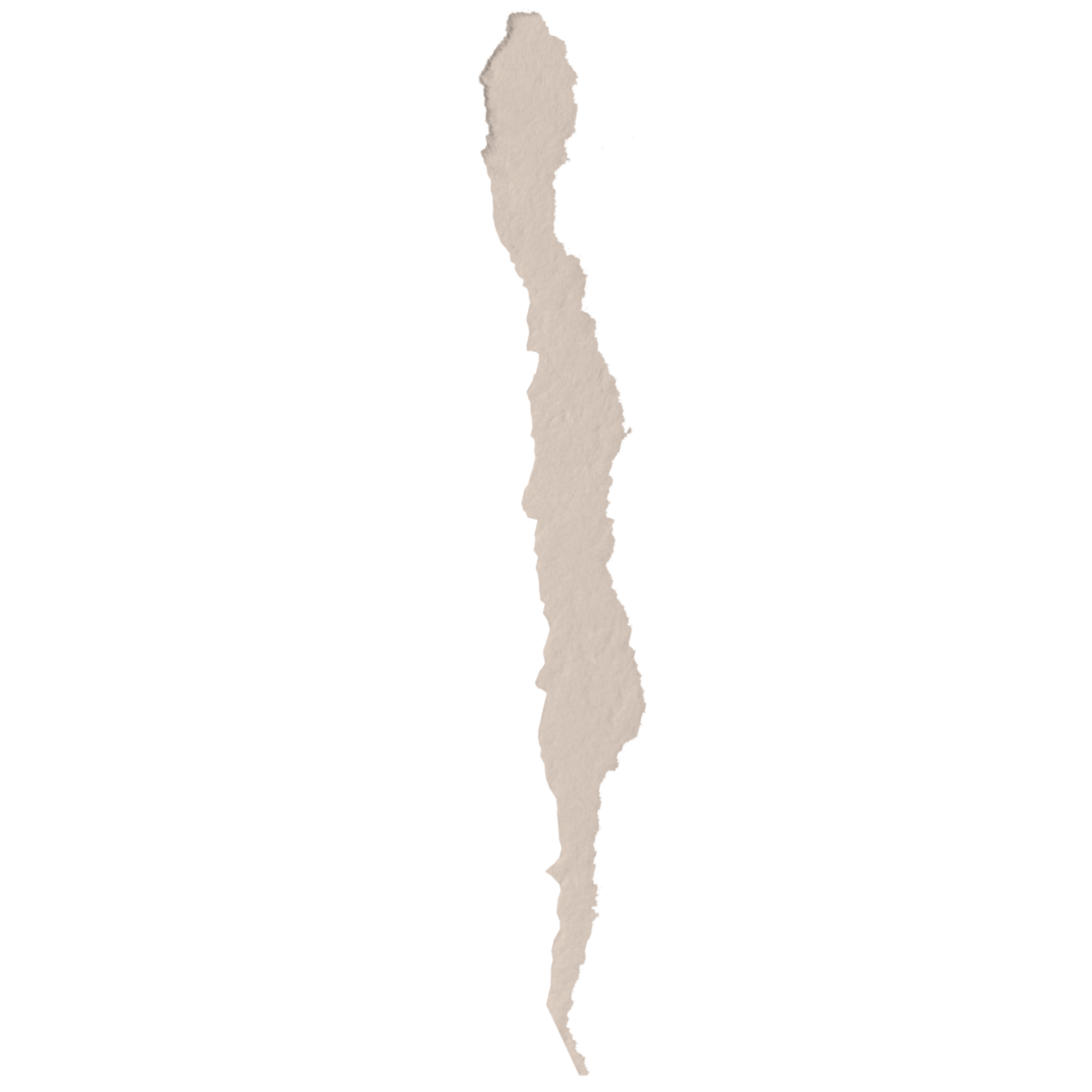 A tan rippled edge of paper in a line to separate sections