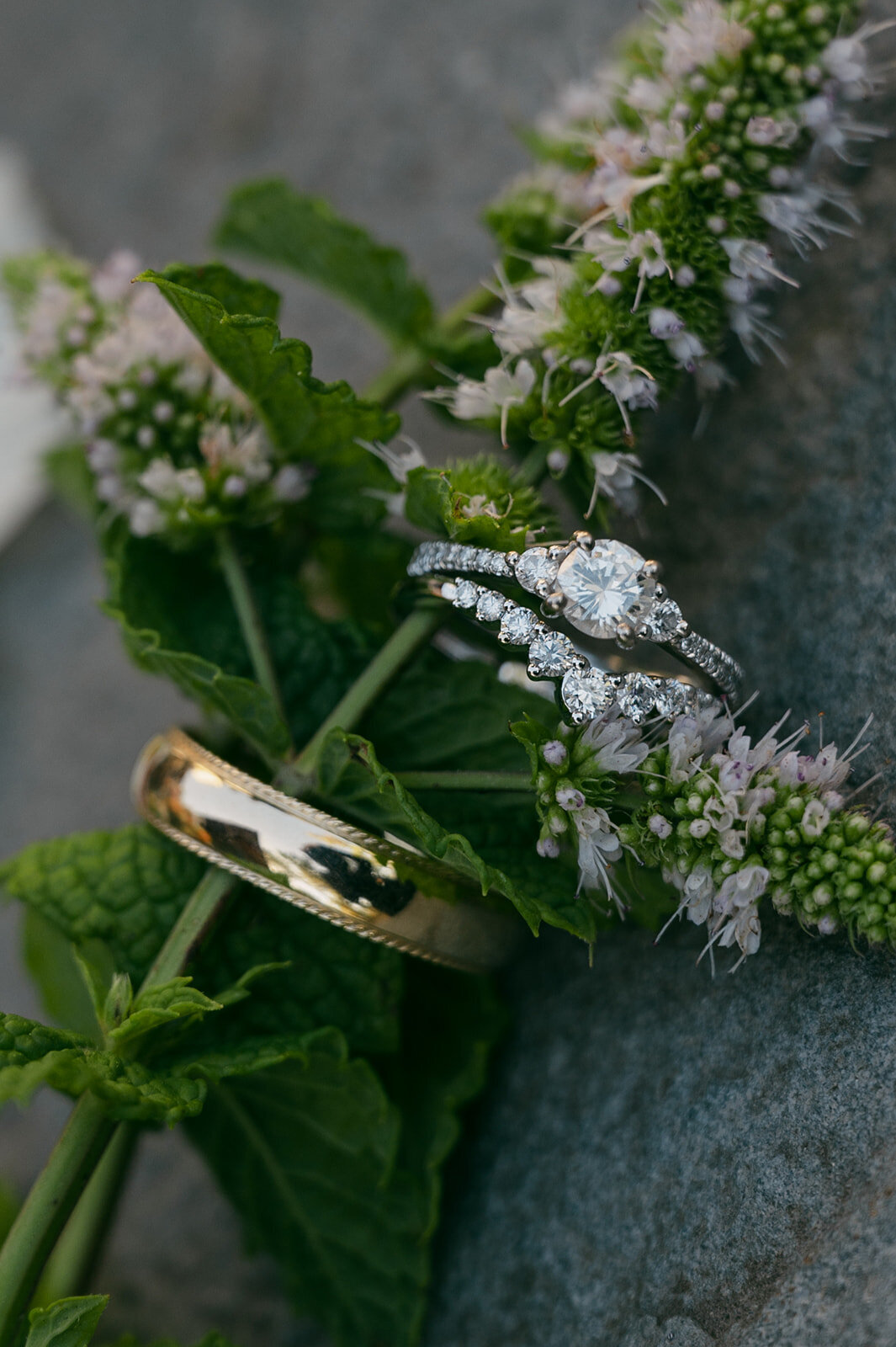 presley-gray-photo-whitefish-montana-luxury-wedding-0699