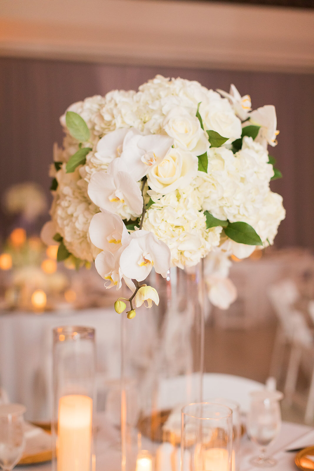 Classic & Elegant3