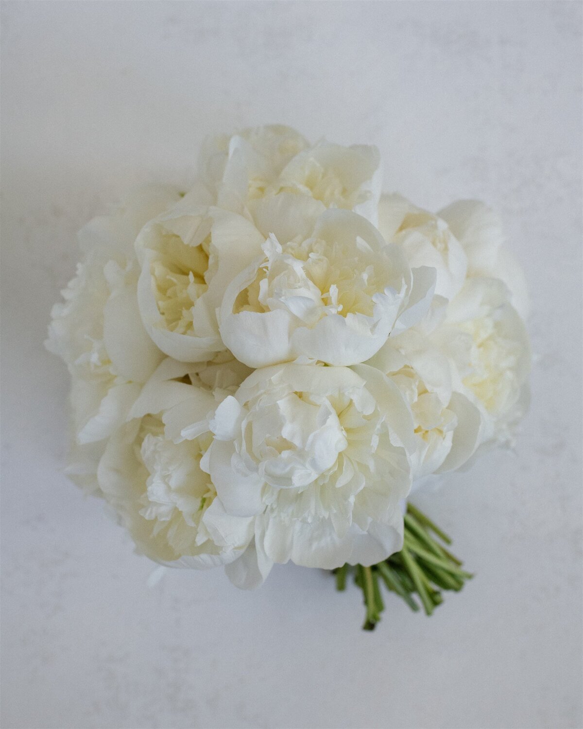 shepherds-hollow-clarkston-michigan-conservatory-wedding-photo-1826