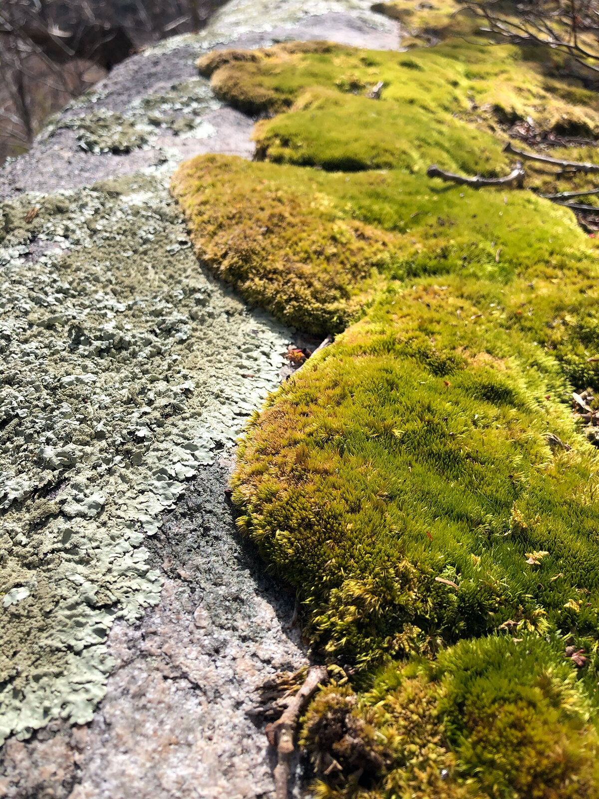 CCC_Estuary_47