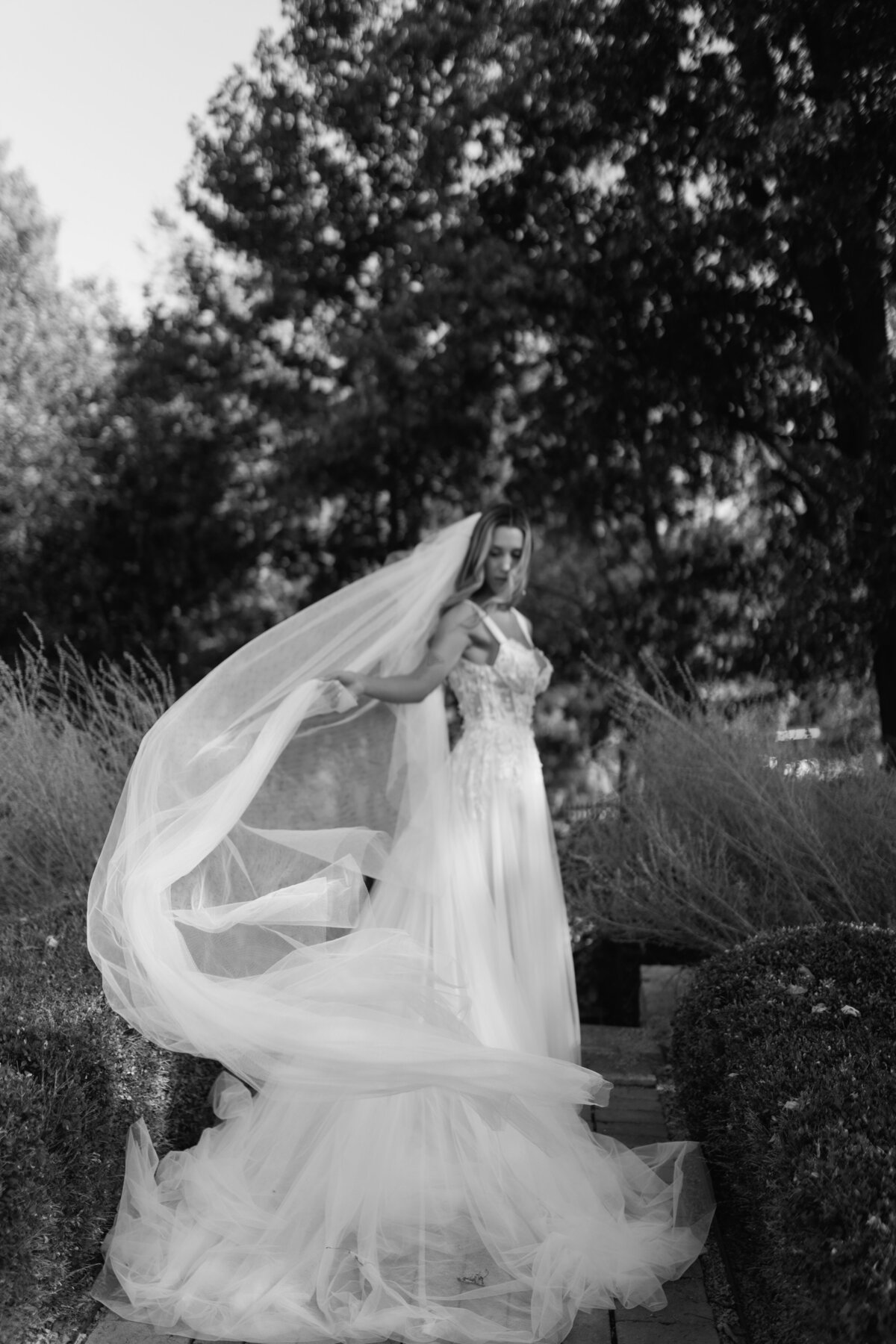 judithmadridphoto-13