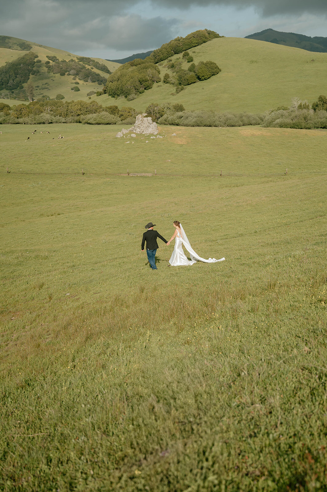 wide-field-walk-sonoma-wedding