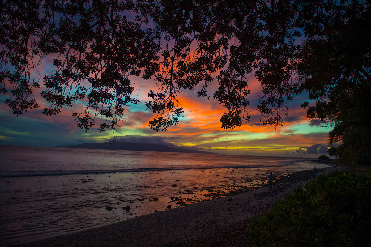 maui-hawaii-destination-wedding-photographer-Olowalu-Plantation-House-1