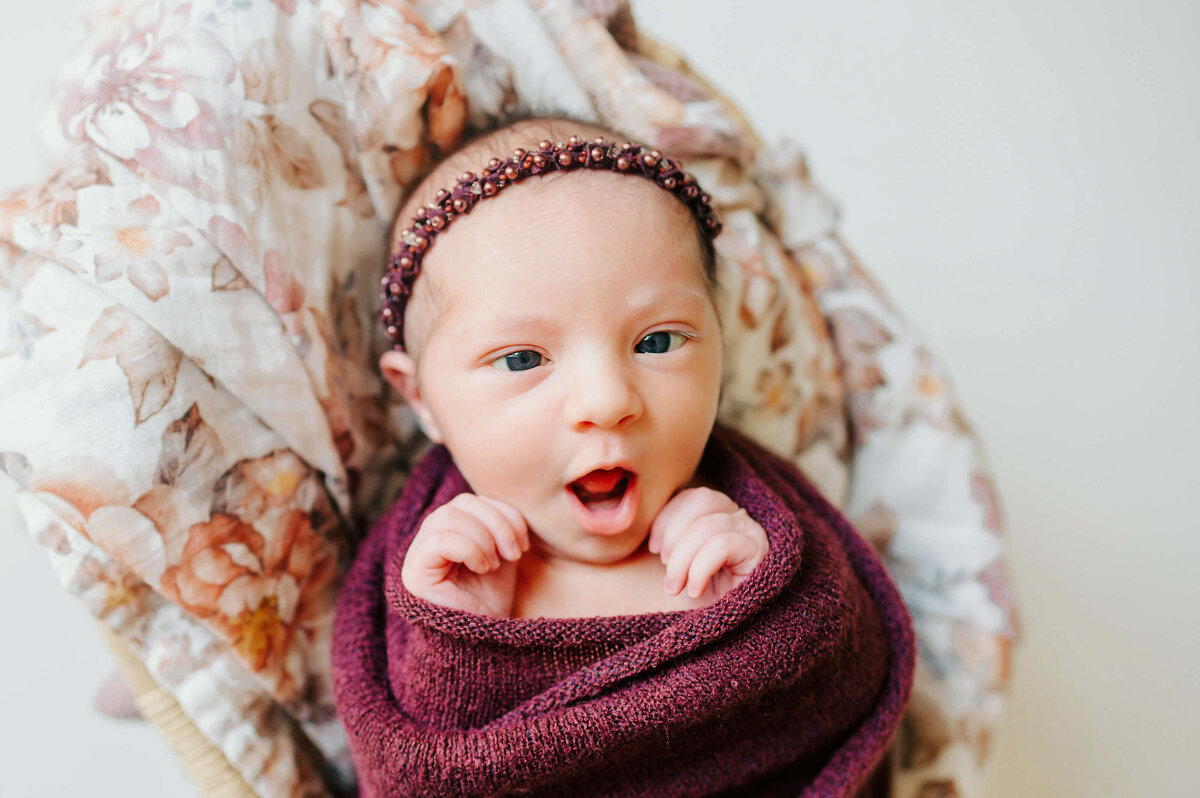springfield-mo-newborn-photographer-214