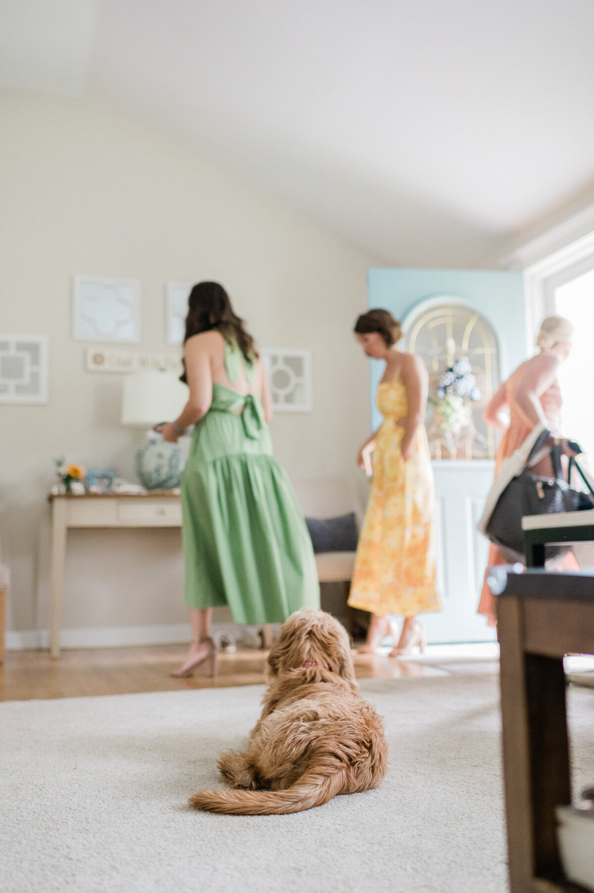 A fluffy brown dog lies on a beige carpet, watching as three women in colorful dresses walk through a bright living room