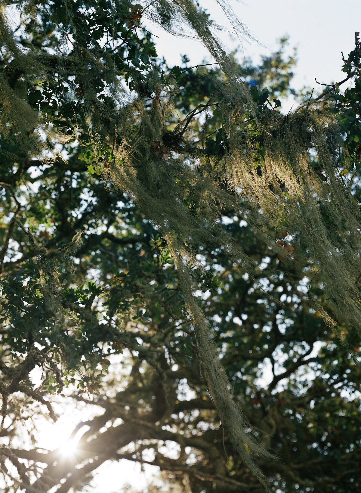 DT-2025-Celine & Gabe Highlights-195