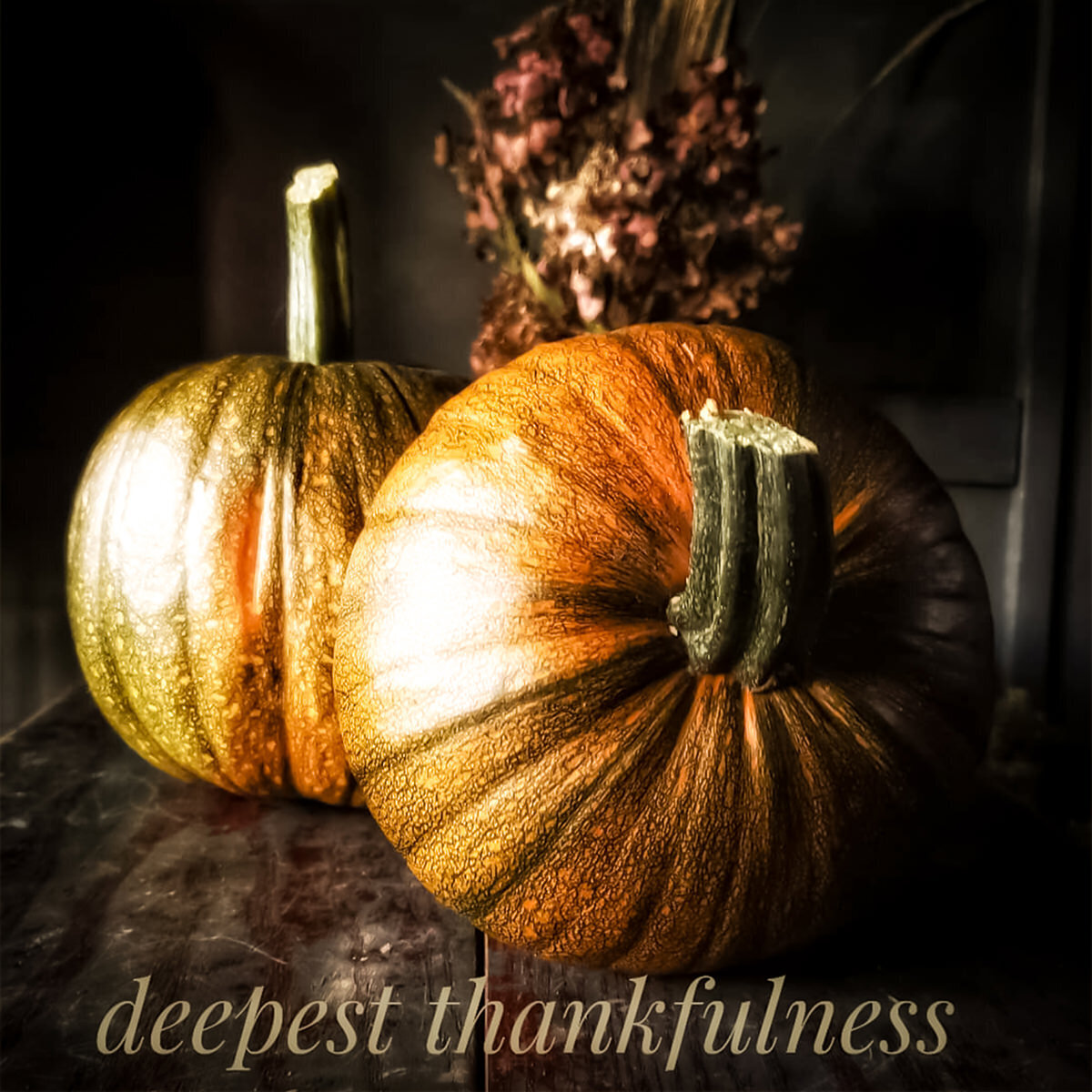 Pumpkins of thankfulness-2