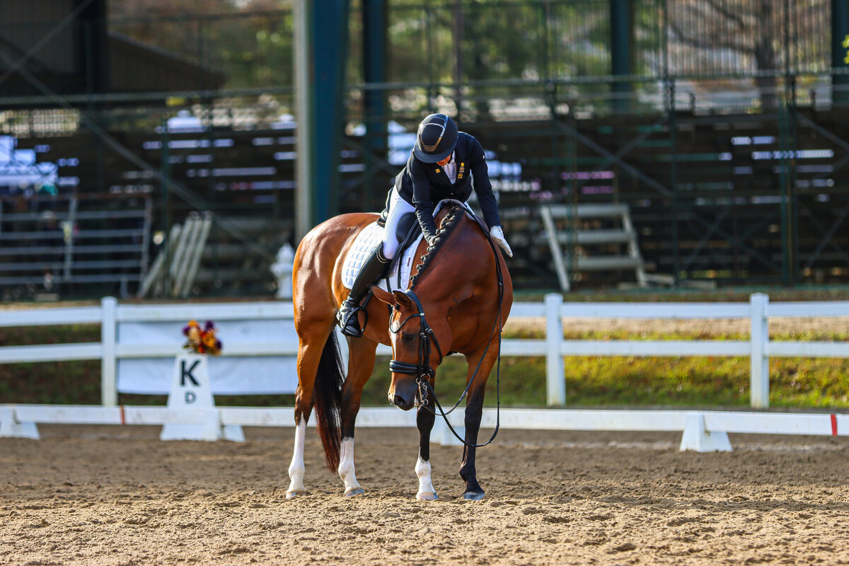 A rider patting their bay horse after a dressage test in Conyers, GA.