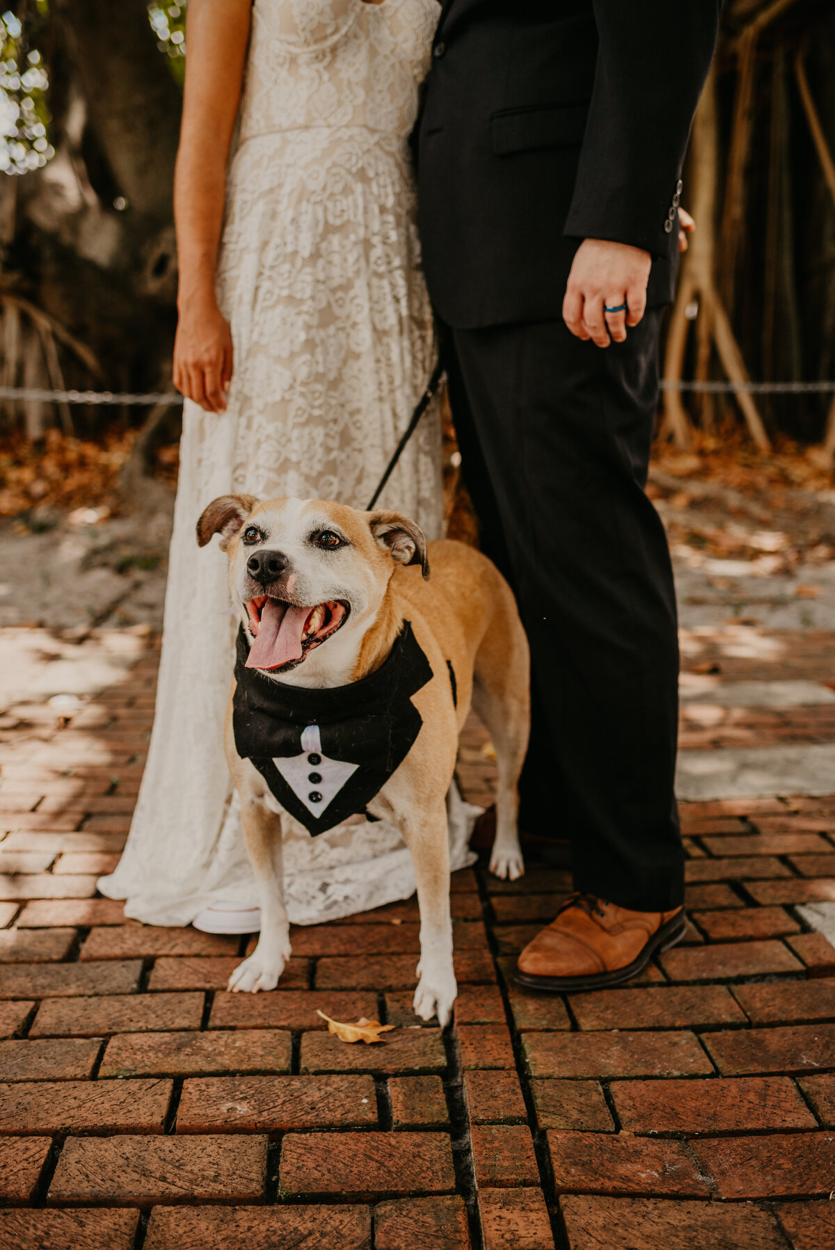 mariah-lacy-photo-st-pete-shuffleboard-elopement-chantilly-planners-27