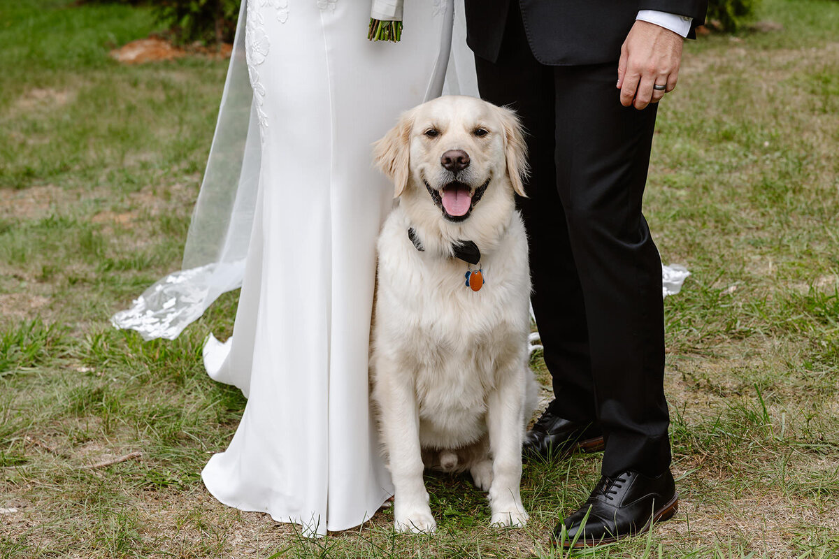 A dog sitting at the feet of a couple