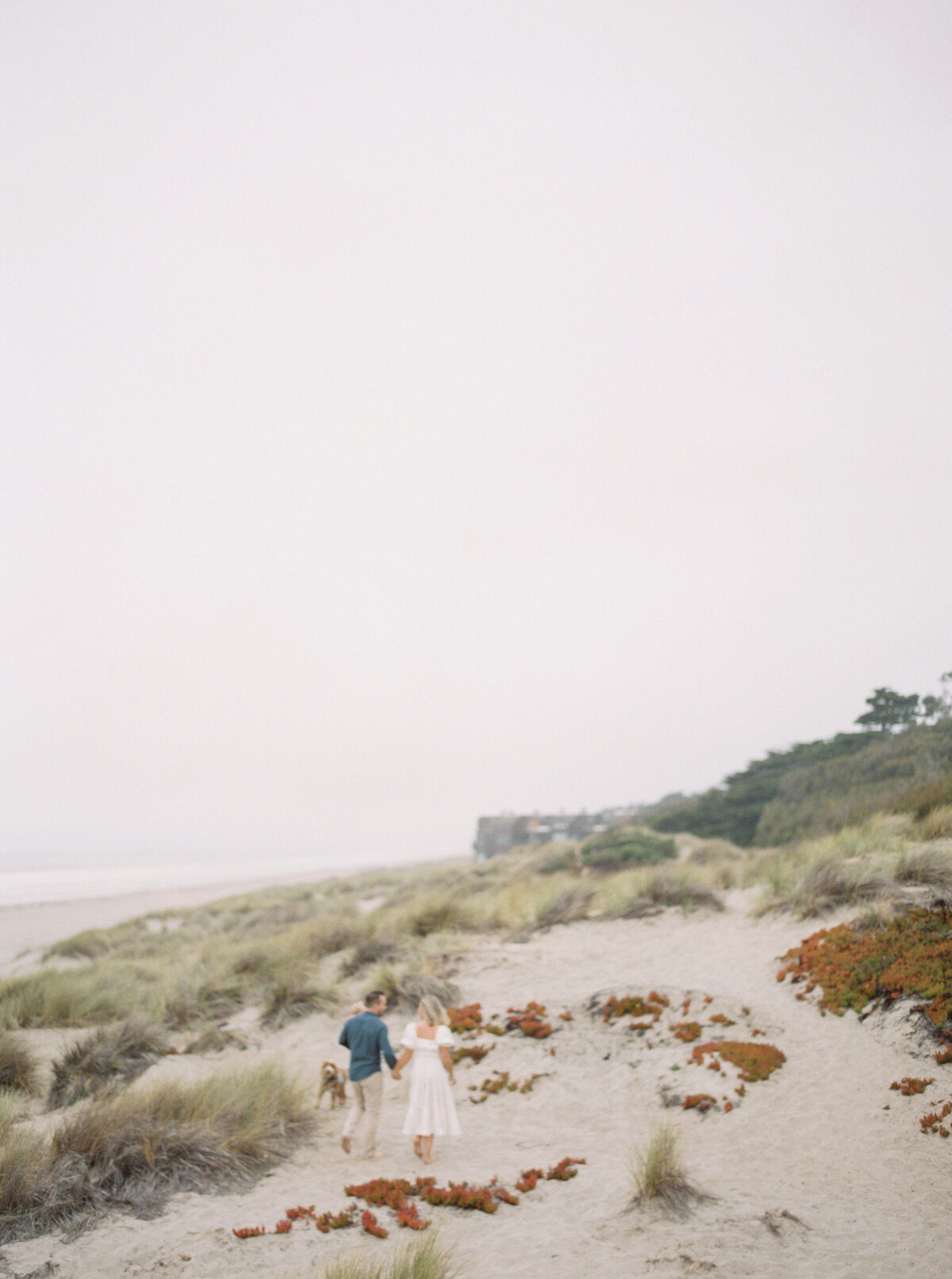 Megan Kawahara Photography San Jose Bay Area California Motherhood Newborn Family Lifestyle Womans Photography Images Portraits Light Airy Film PhotosMKPhotography_SouzaFamily-12