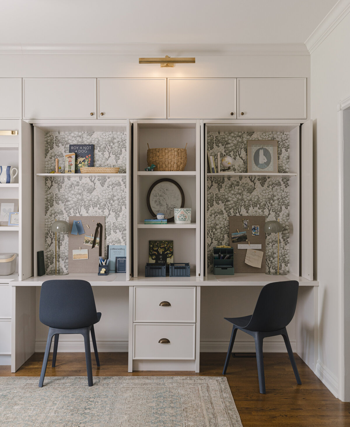 Living room bookshelves