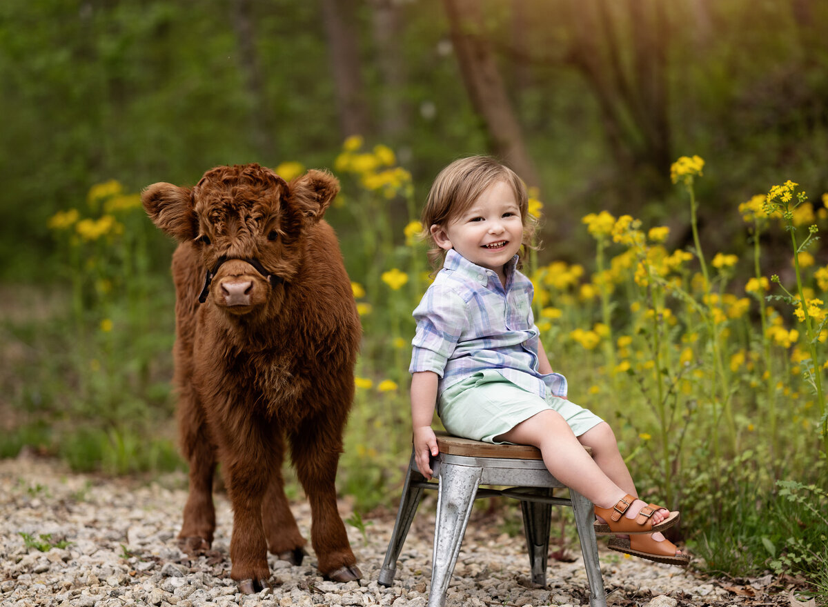 baby cow mini sessions Atlanta GA