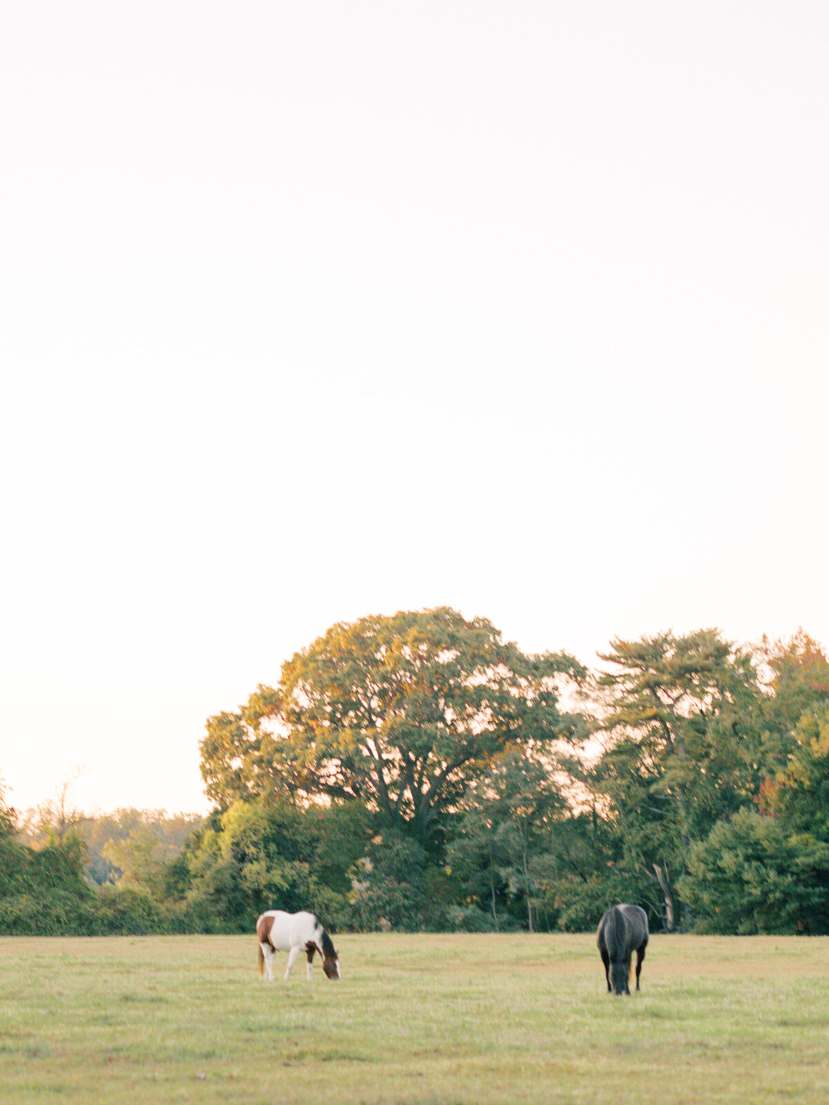 10.24 _ Weddings _ Maddie & Ethan _ Costola Edit (52 of 79)
