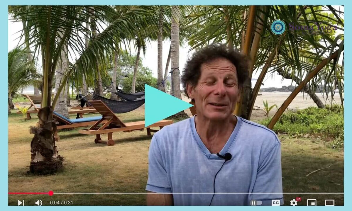 Scott Cohen Costa Rica yoga teacher training video testimonial