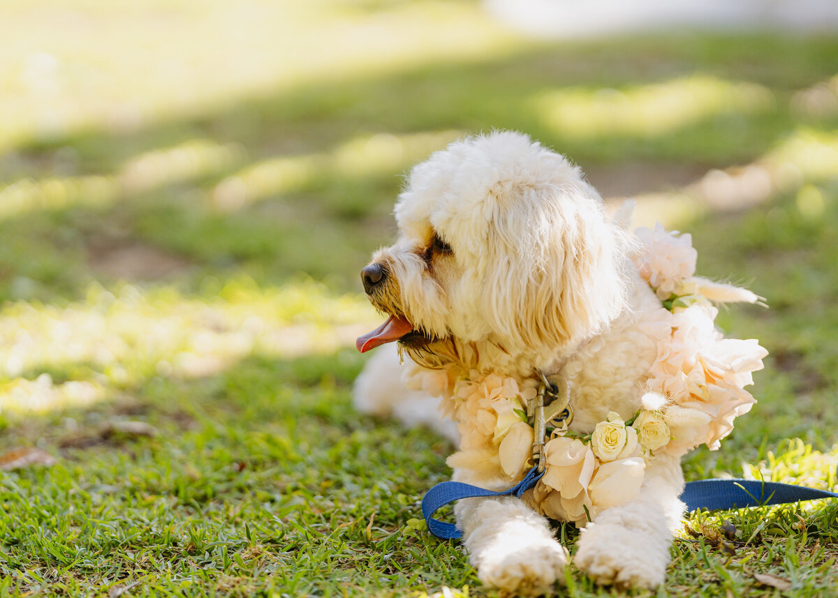 Bloom Studios - Ceremony-17