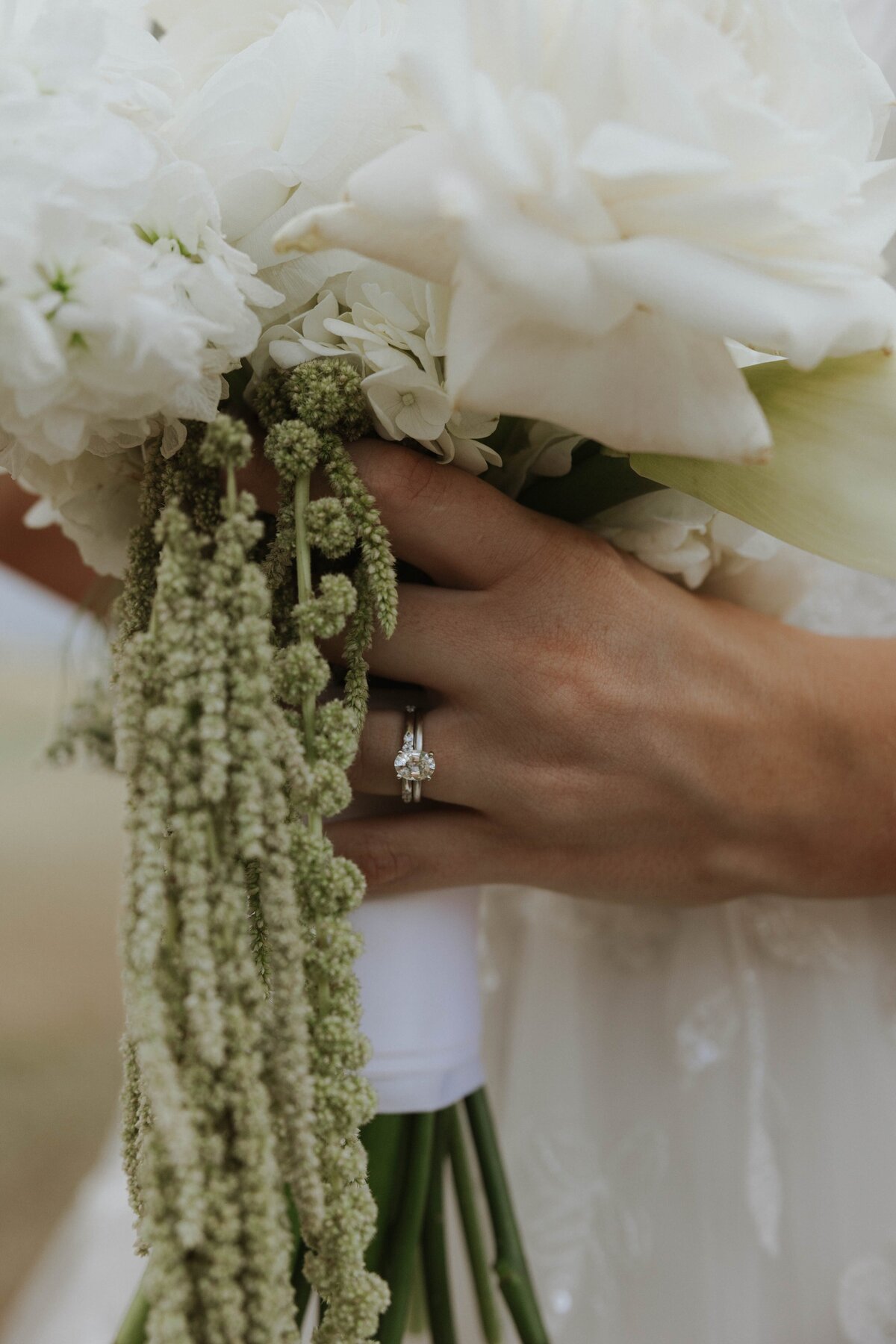 destination-elopement-photographerMG2A4259.CR3 yes